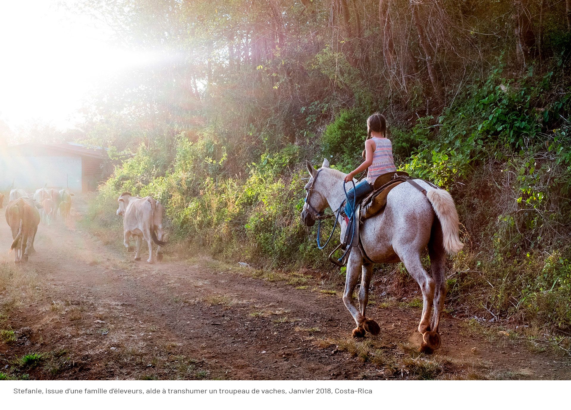 Reportage sur les sabaneros du Costa-Rica, par Vanessa Chambard photographe